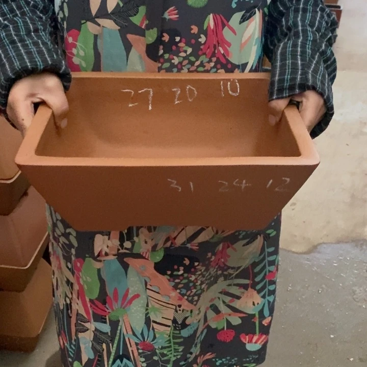 花盆紫砂只顾看手机的日子