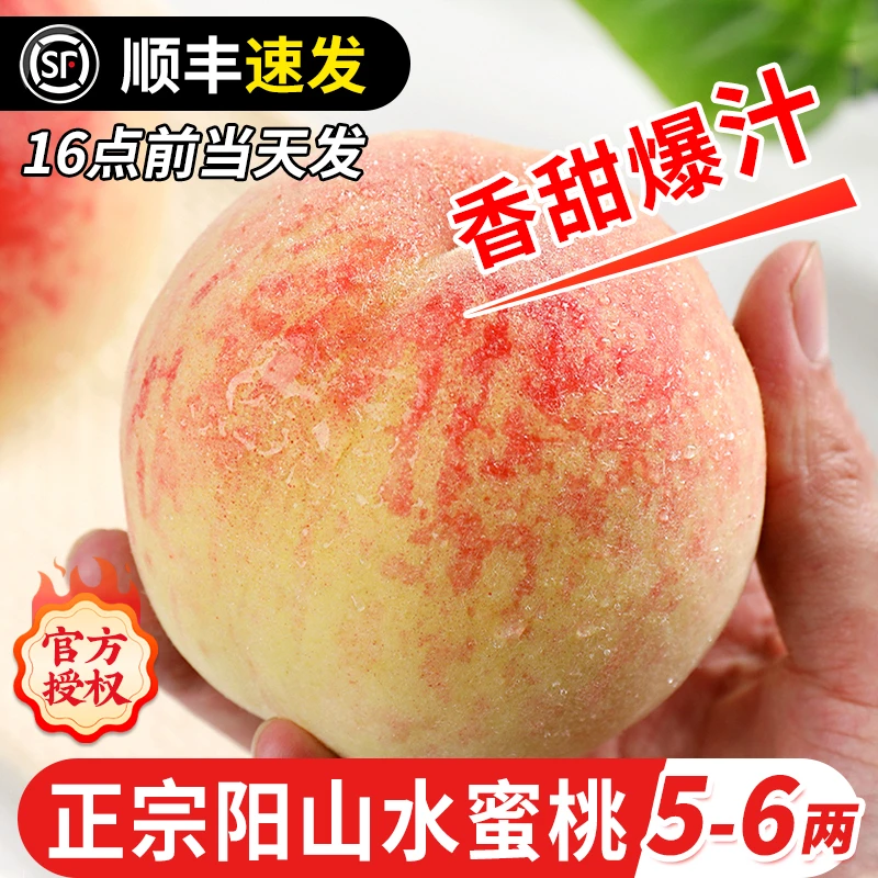 【5-6两】正宗无锡阳山水蜜桃新鲜水果当整箱应季桃子顺丰包邮