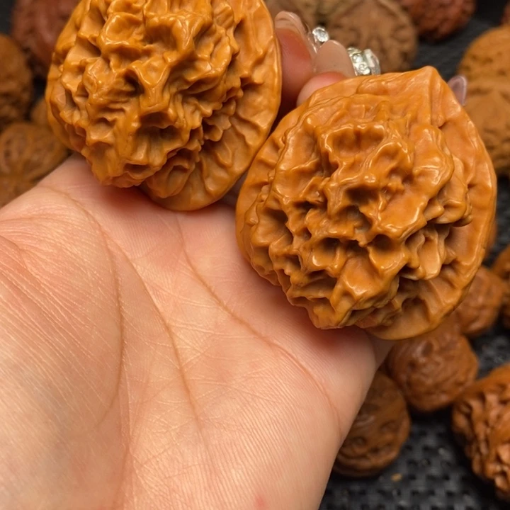 秦岭野生00000000030