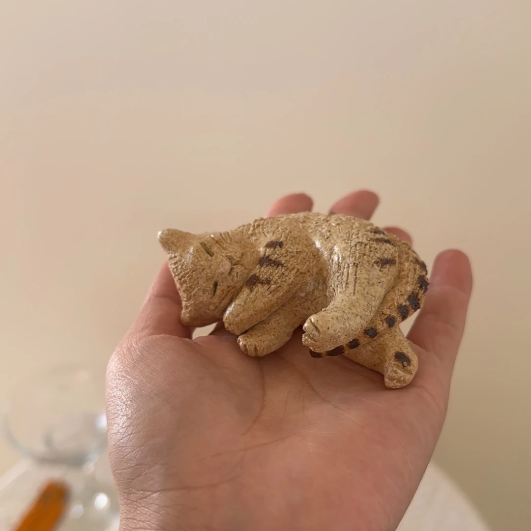 杯亮亮亮亮亮亮记录