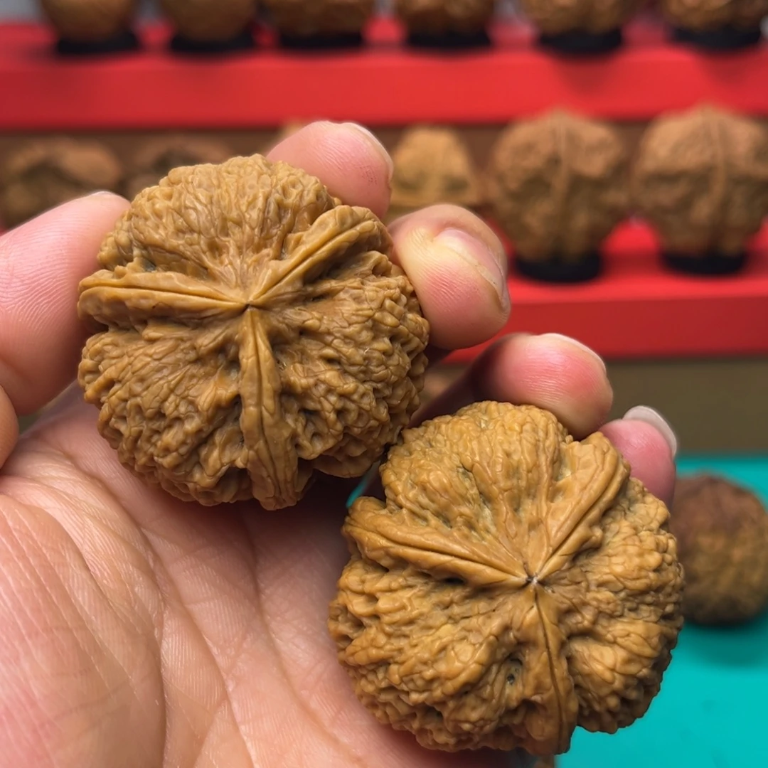 核桃树头花中花42尺
