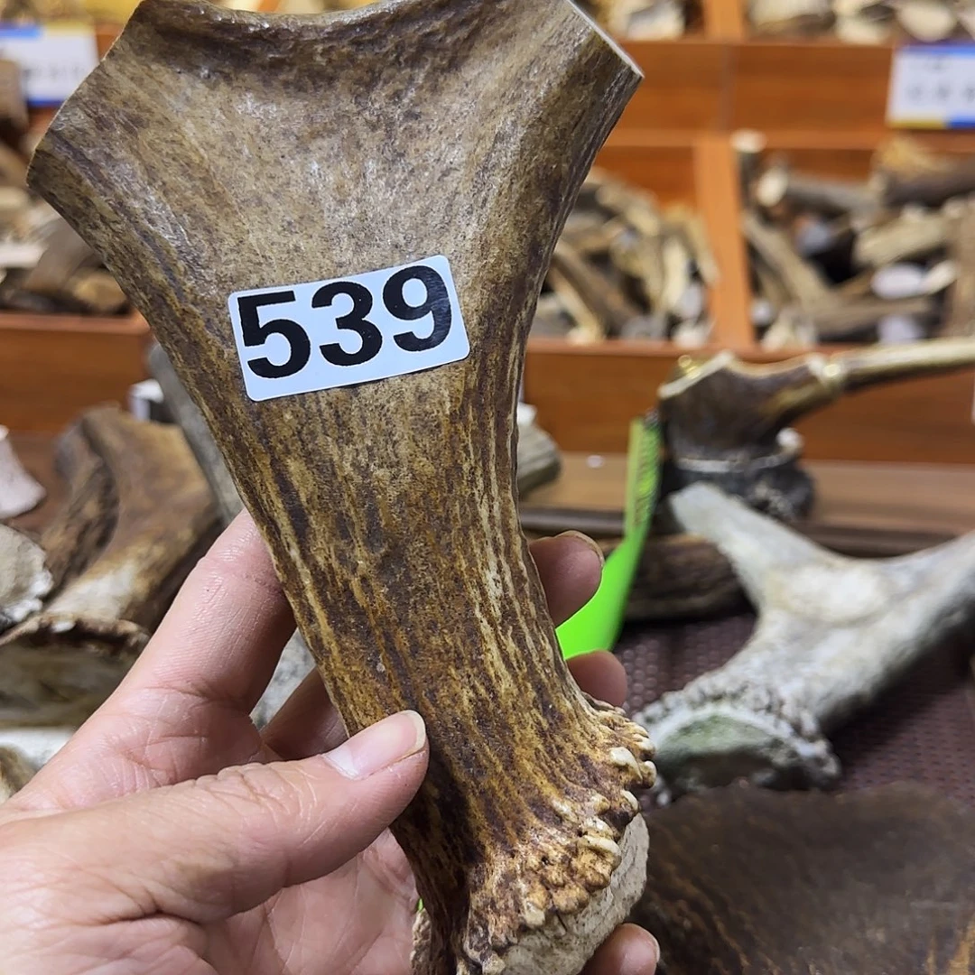 手串/手链鹿骨鹿角弹弓料539