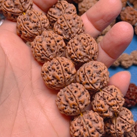 金刚菩提手串松**哥w048/22/5