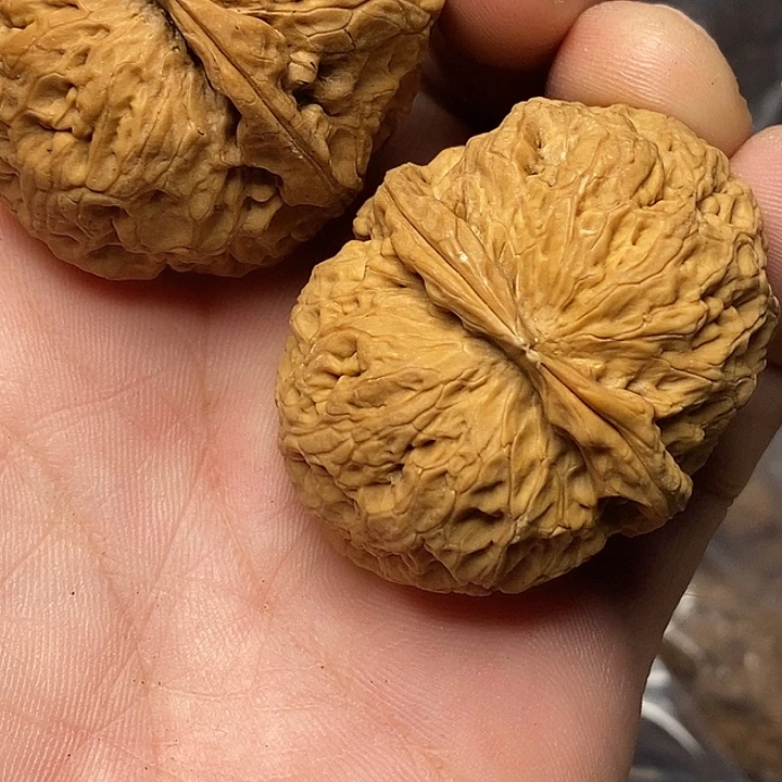 文玩核桃把件志成云铁文玩75