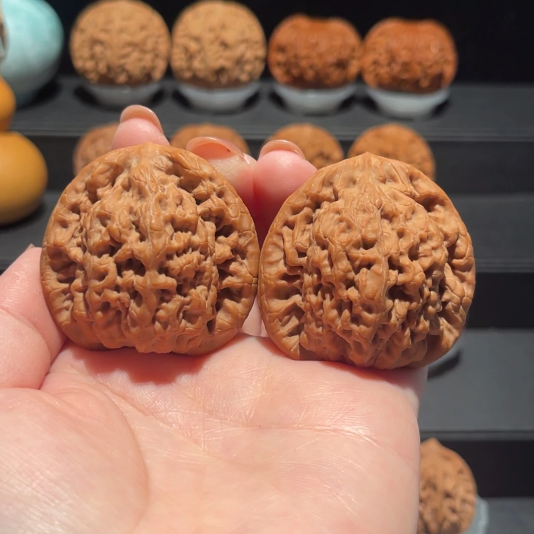 金公子45精品，毕业698