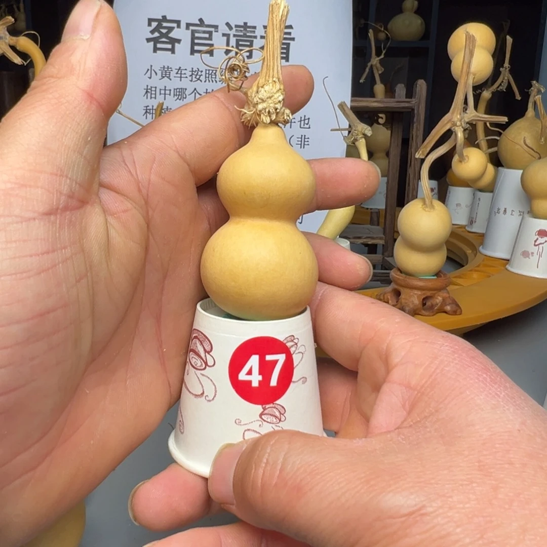 闪电购自助下单编号47