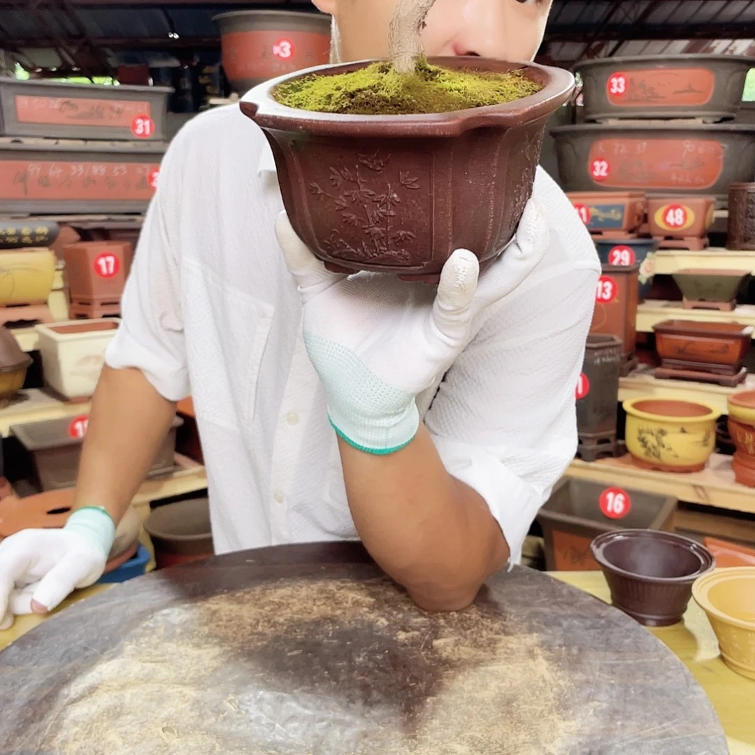 精品紫砂工厂直发
