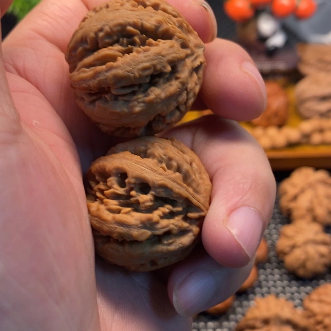 秦岭森林中出现大量罕见