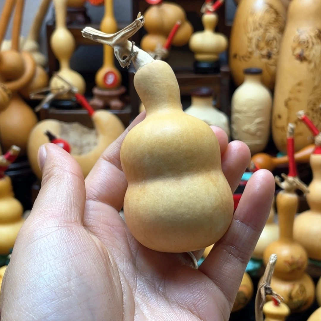 艾**蒂大自然的秘密第十一节你