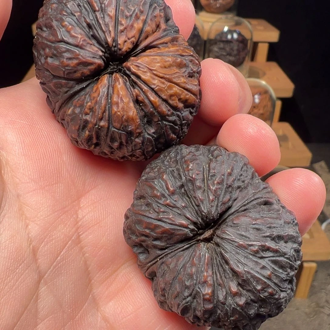 文玩核桃把件秦权43mm