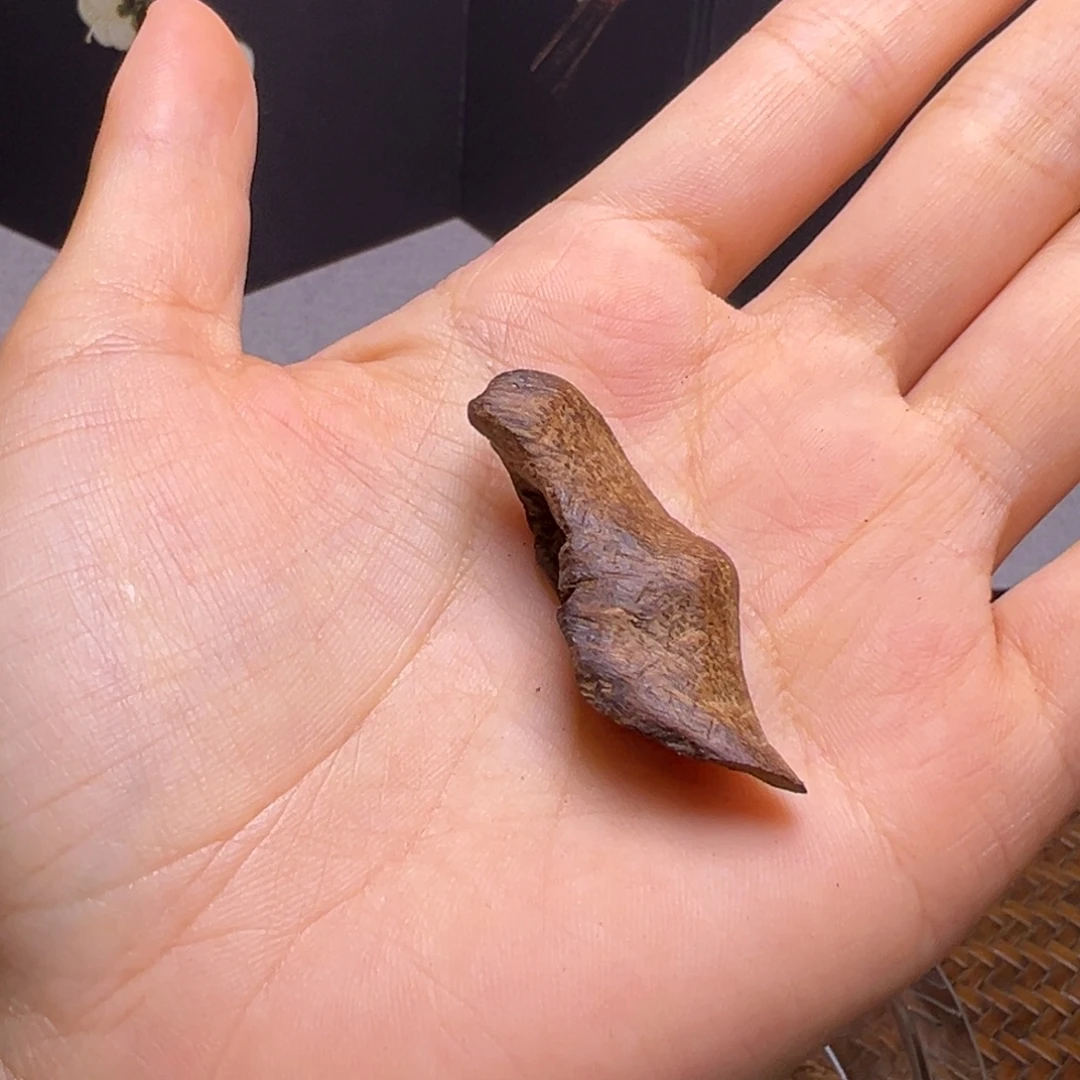 沉香碎屑沉香海南沉水熟结鸡母虫漏2.4克