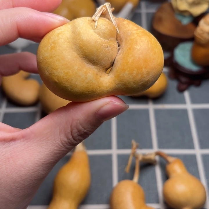 酒***子葫芦抽666666666666