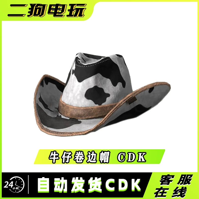 PUBG绝地求生牛仔卷边帽帽子皮肤激活码兑换码 CDK