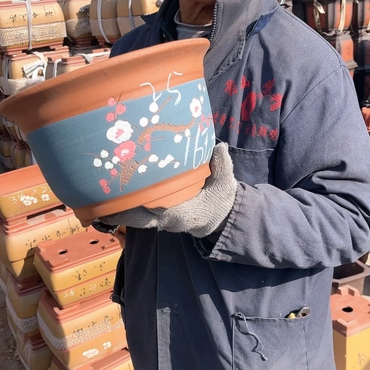 紫砂紫砂花盆里是红