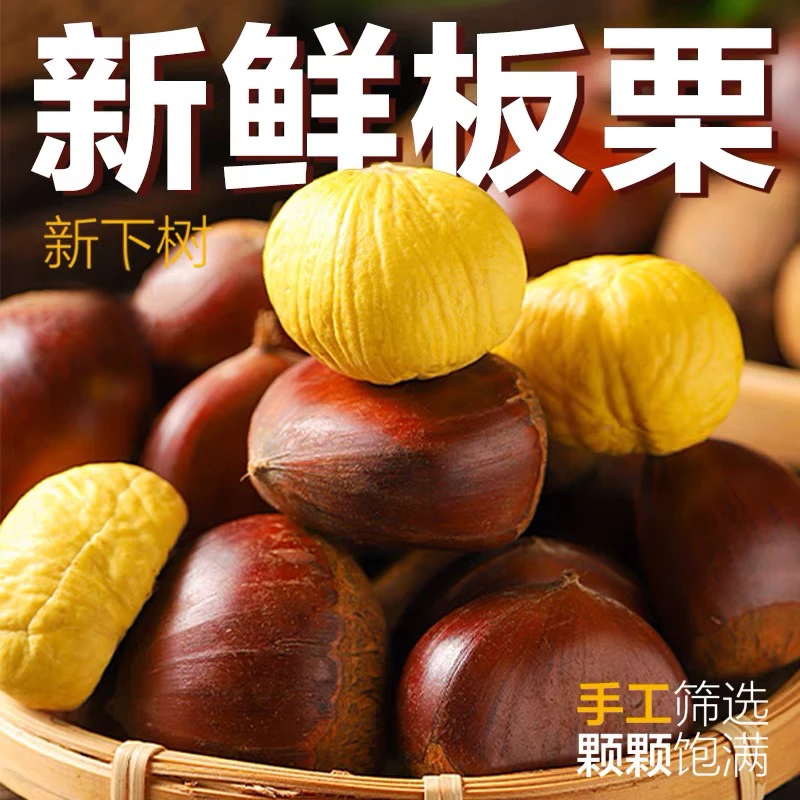 丹东高山新鲜生板栗甜糯清脆难剥皮非油栗子锥栗5斤