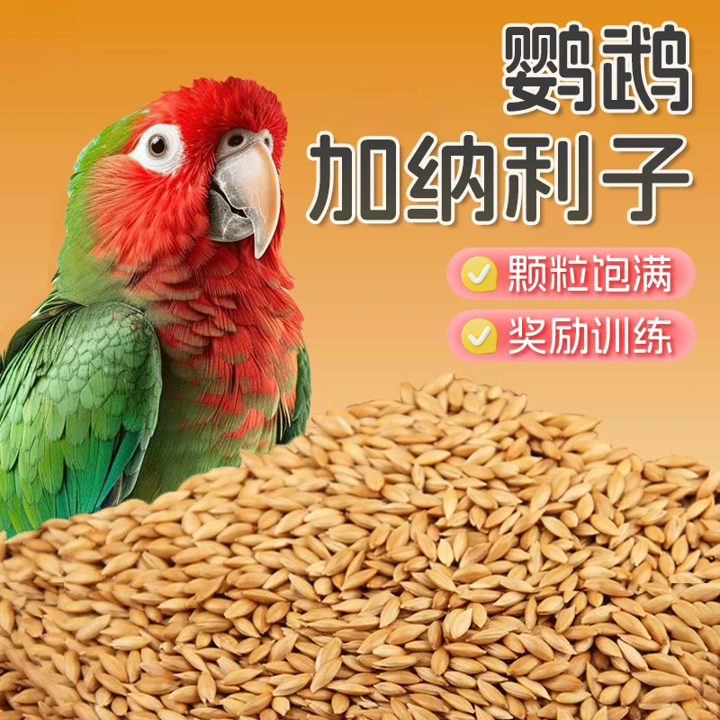 【宠大条】加纳利子鸟粮鹦鹉鸟食饲料虎皮玄凤牡丹专用喂养鸟用鲜粮