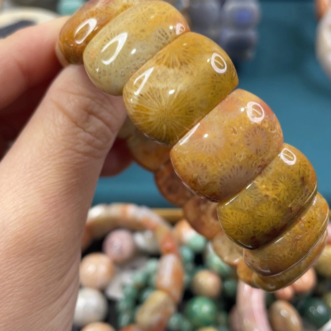 未镶嵌手镯硅化玉