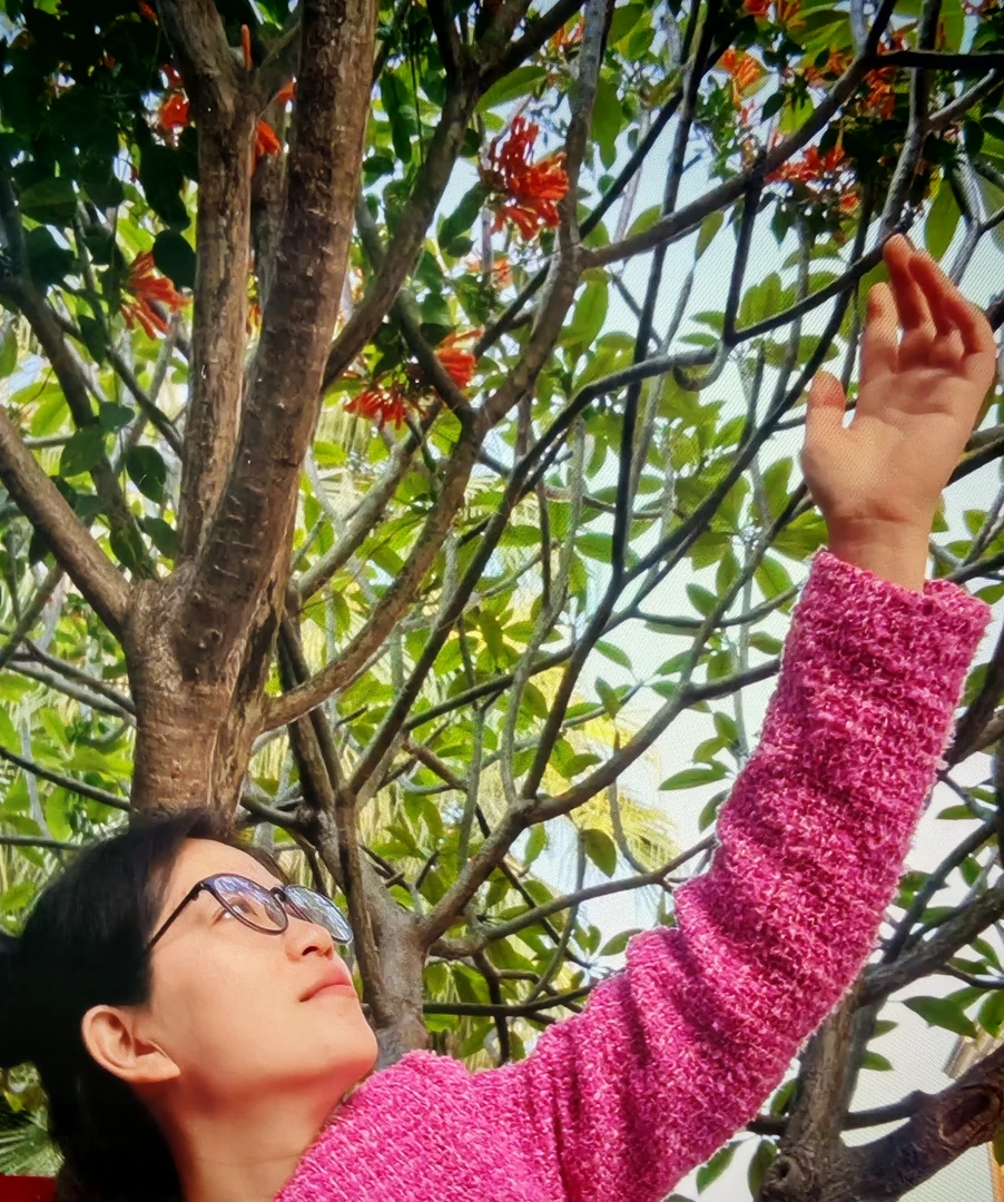 半裙万能专拍链接