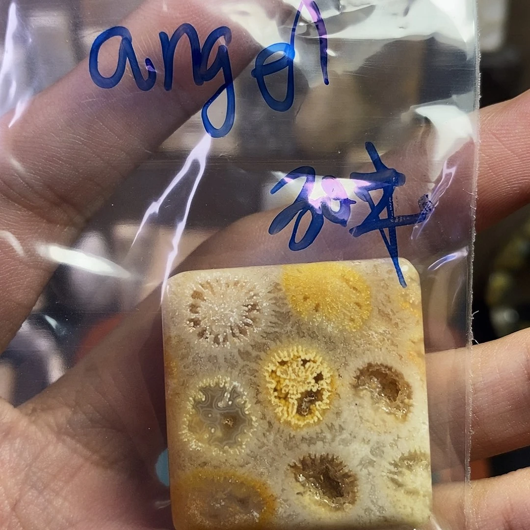 硅化珊瑚（珊瑚玉）吊坠未镶嵌a****缘