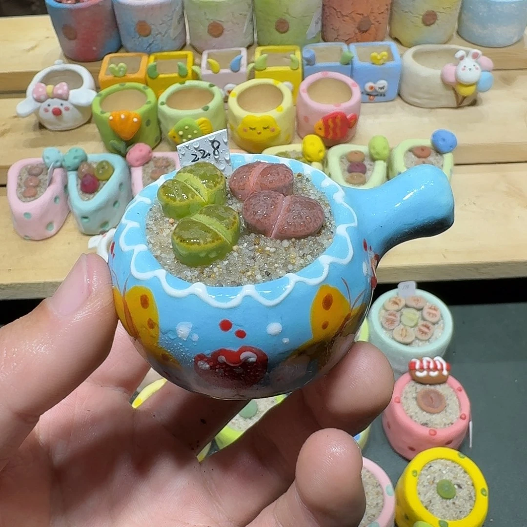 红陶蘑菇461彩拼