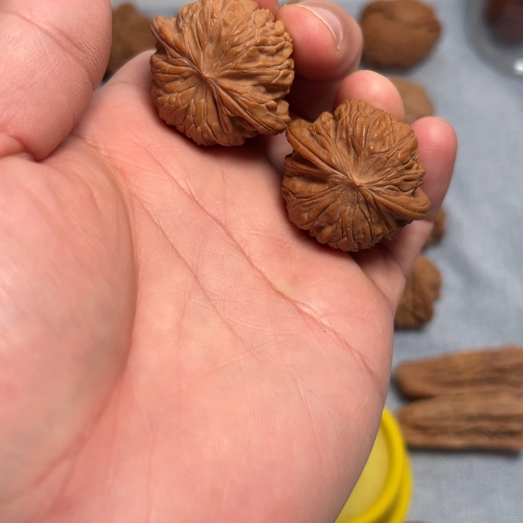 @****核桃核桃核桃核桃