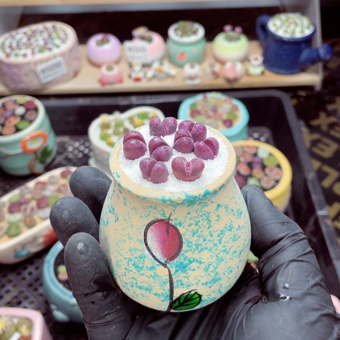 夜间零下地区拍保温箱w3252