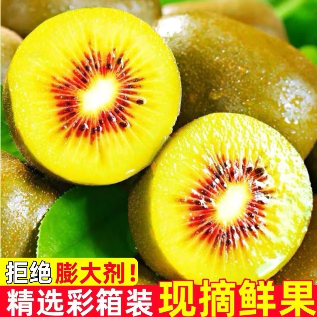 四川蒲江红心猕猴桃奇异果新鲜水果浦江当季现摘现发纯甜孕妈大果