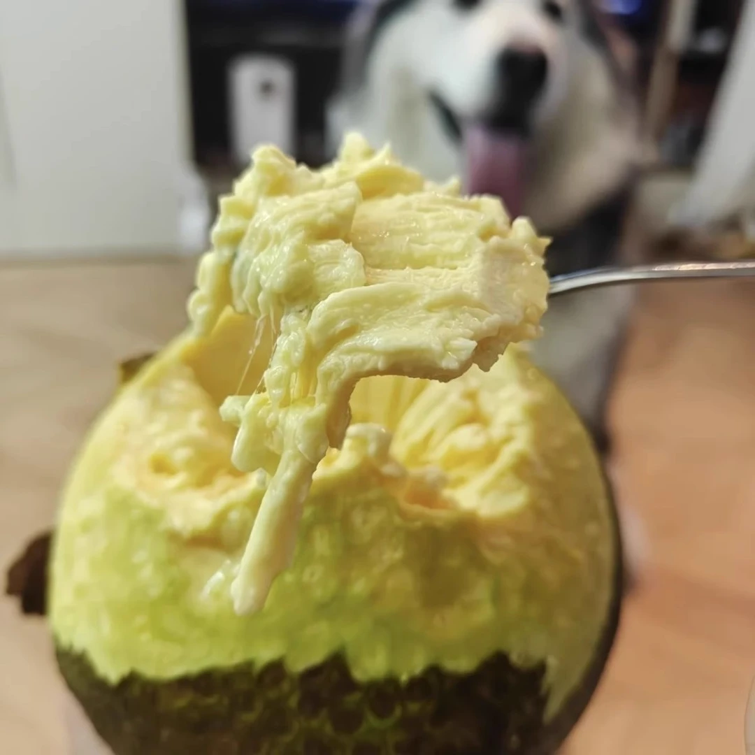 顺丰包邮海南面包果新鲜高山采摘稀有当季热带水果