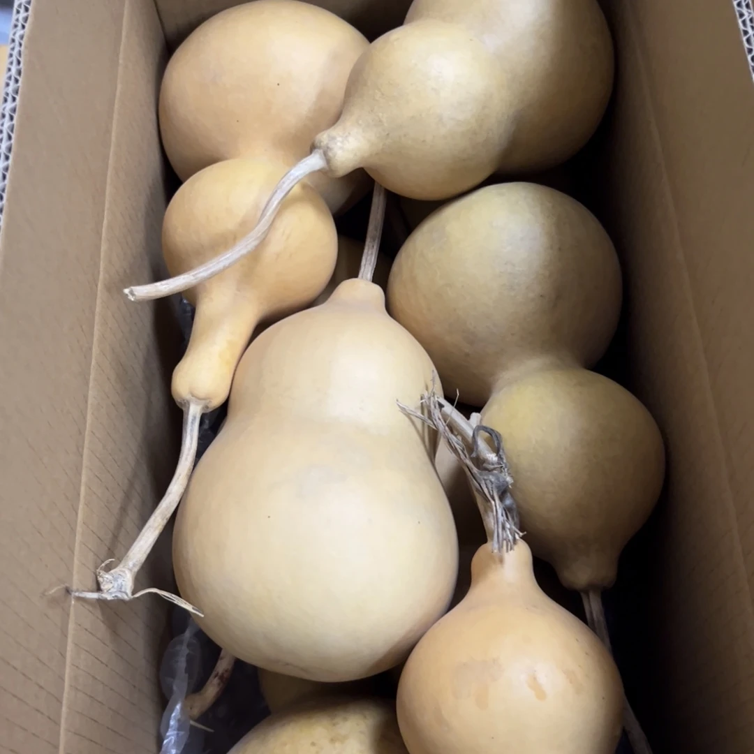 梵***尘有机玻璃葫芦葫芦