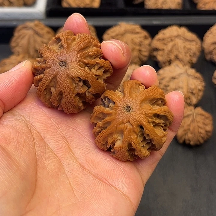 午***茶核桃秦岭突突突突突突突