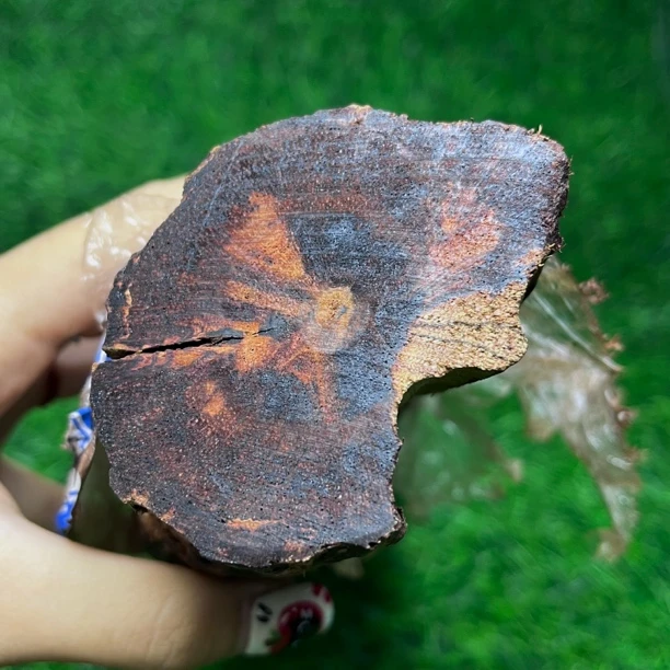 天然小叶降真香小帝王香暗黄油高端软糖沉水料猫猫推荐