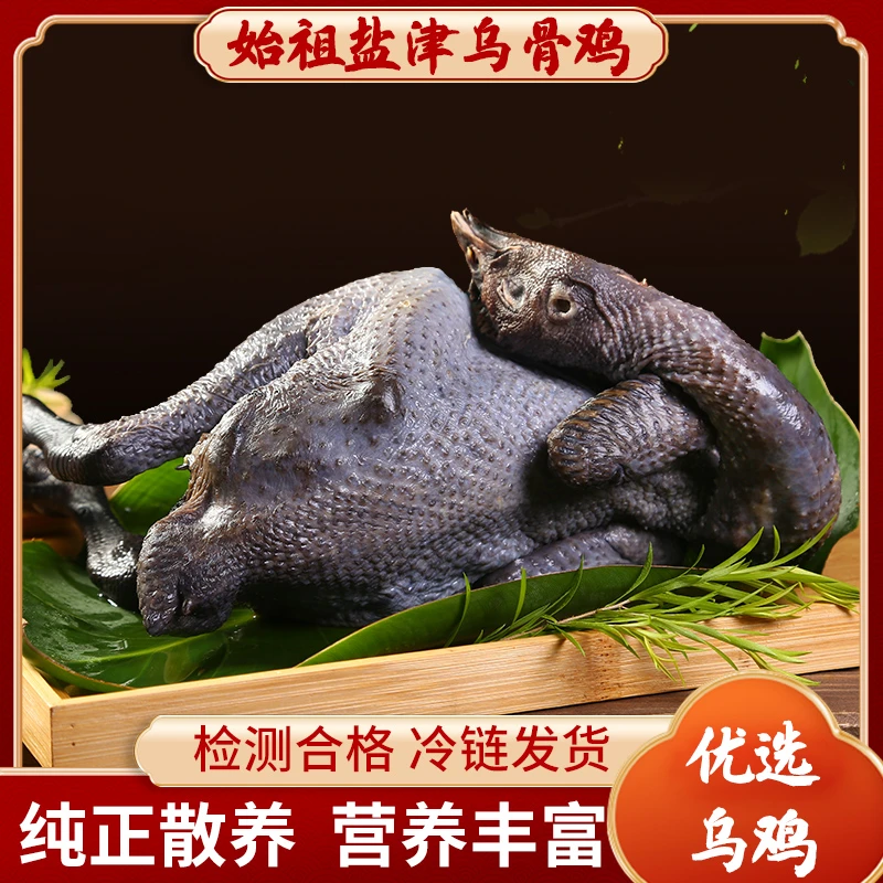 云南盐津乌骨童子鸡散养走地鸡现抓现宰放养0.75kg（介意慎拍）