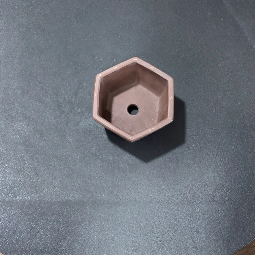 紫砂花盆我们都在