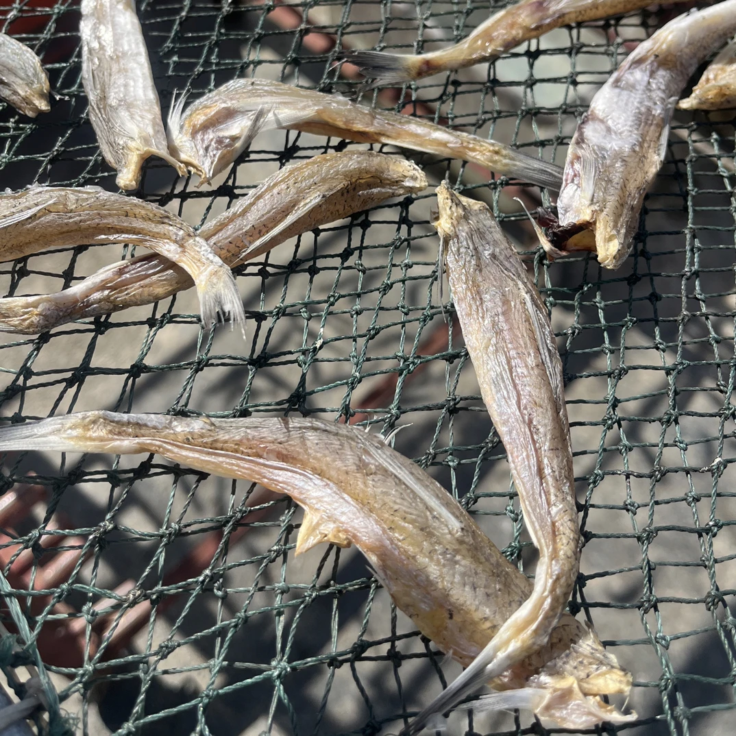 汕尾港日晒哥丁脯欧丁脯淡干海产干货