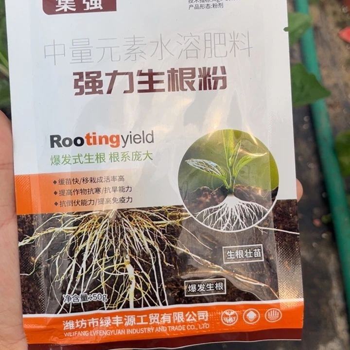 无花朵生根粉四包， ， ，