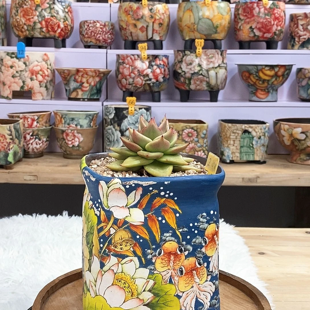 小*…小盆福利6666