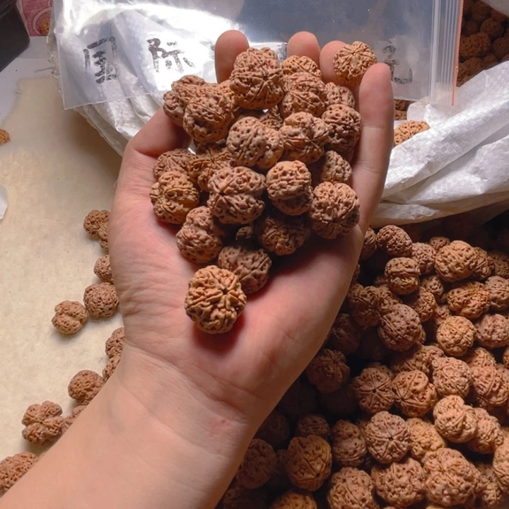 金刚菩提手串梁梅花散籽