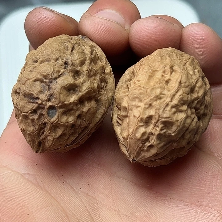 把件文玩核桃26号云铁37尺42克