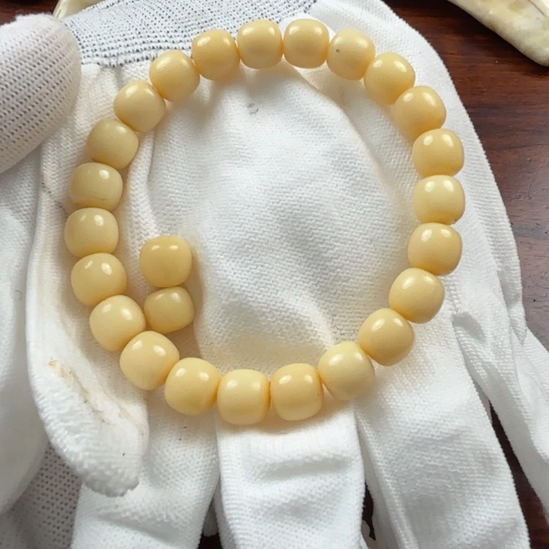 骆驼牙手串/手链骆驼牙