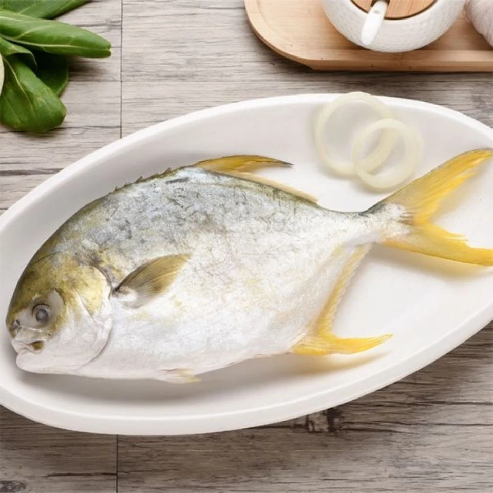 黄花鱼金鲳鱼精品海鱼3条赠海鲈鱼