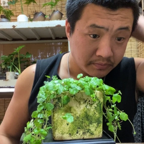 红陶白*.一物一拍所见即所得148