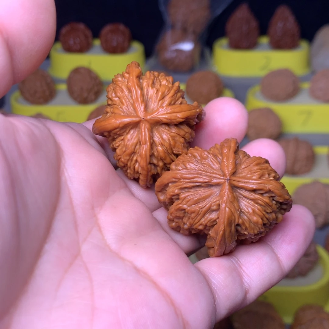 老****大叶紫檀（黑酸枝木类）平谷四座楼