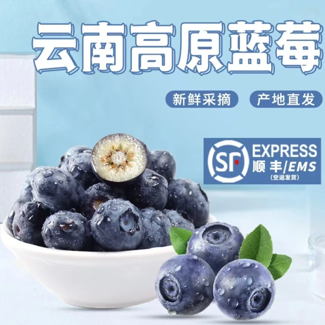 【云南空运直发】云南高原蓝莓鲜果花青素新鲜水果现摘产地直发AA