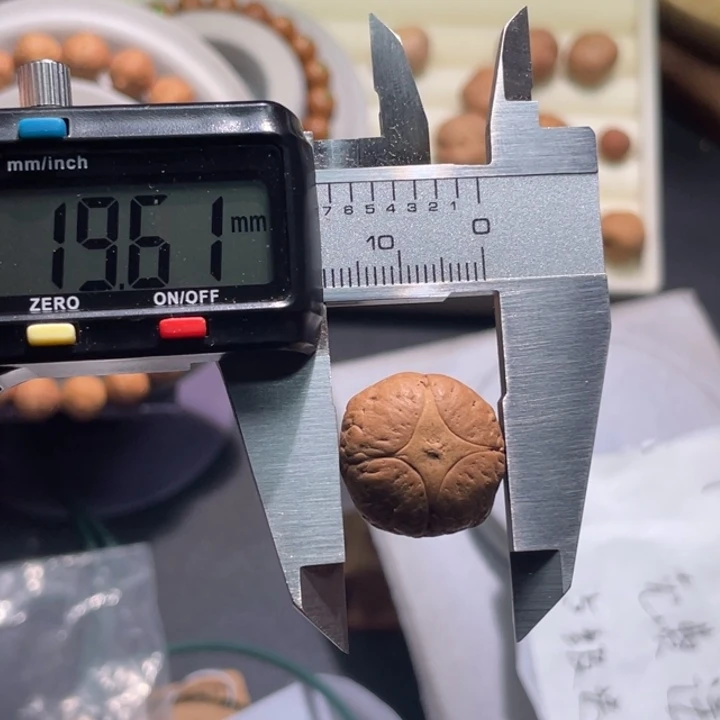 凤眼菩提手串19.61麒麟