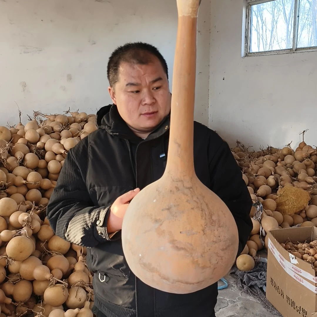 葫芦娃救爷爷一个一个