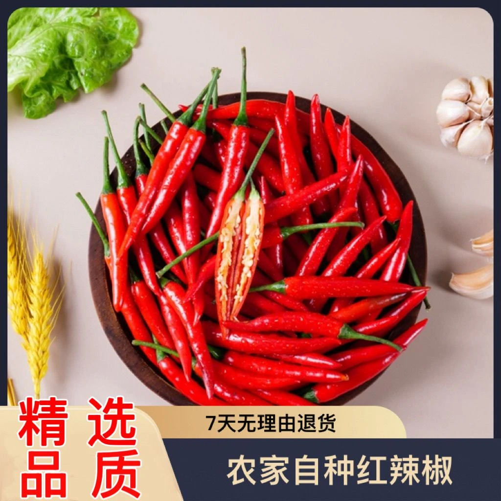 云南高山小米辣特辣新鲜现摘现发朝天椒可做泡椒剁椒