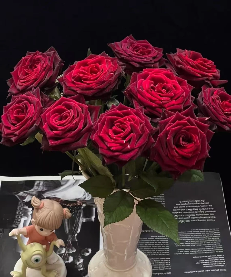 【云上花卉】黑巴克单头玫瑰 任意两单花材升级顺丰冷链或德邦