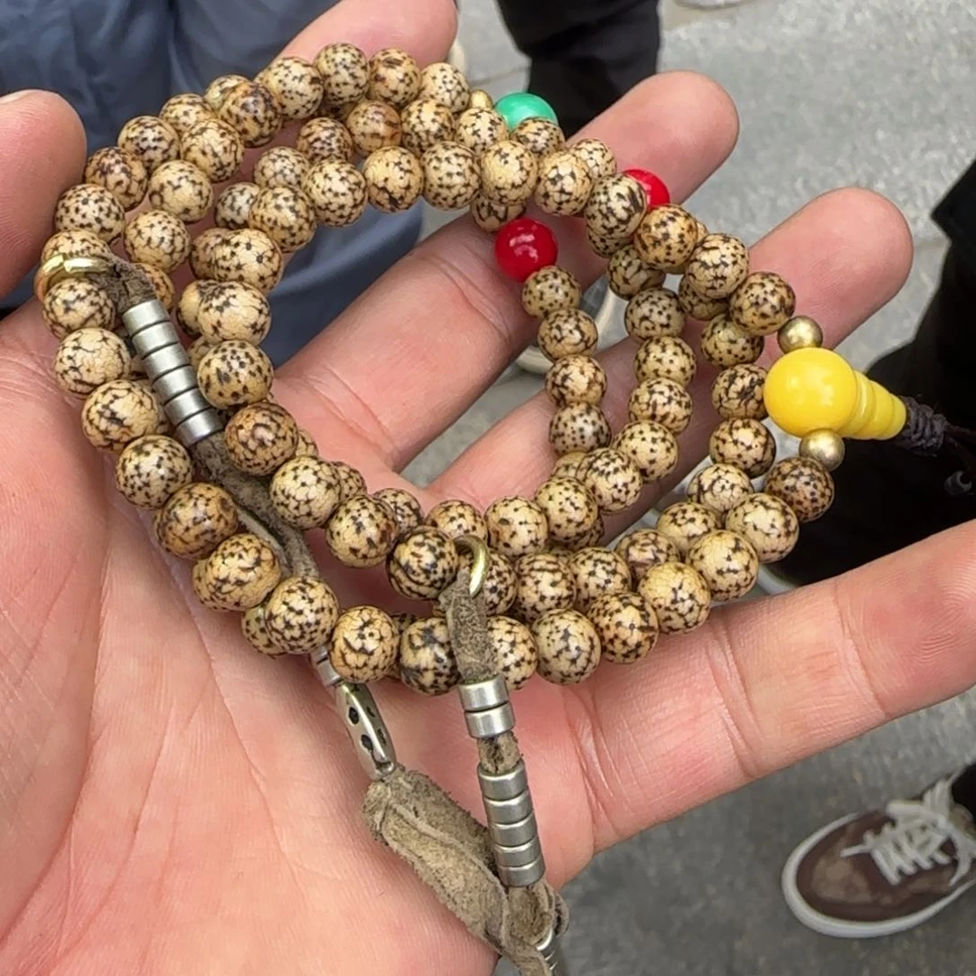 好看的喜欢带回家