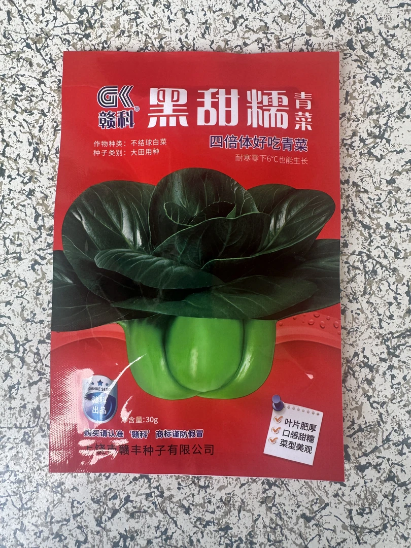 黑甜糯油冬菜青菜种子