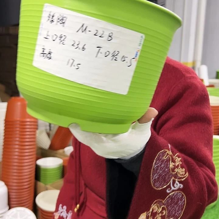 正品矮陶23.6高17白色6只无托